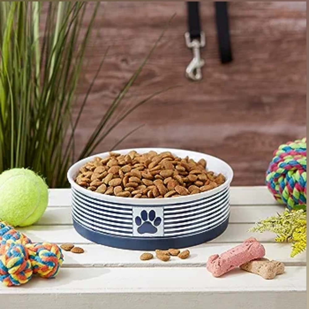 Paw Patch Stripe Pet Bowl